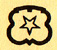 Venus logo