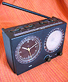 Braun (BrABR11_4846)